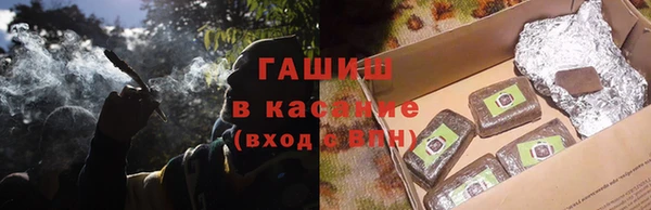 хмурый Аркадак