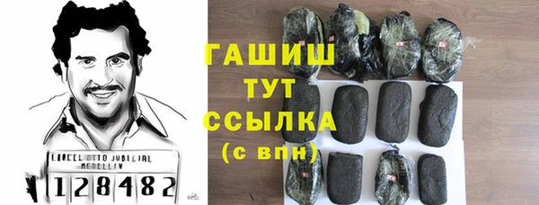 хмурый Аркадак