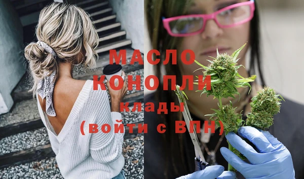 хмурый Аркадак