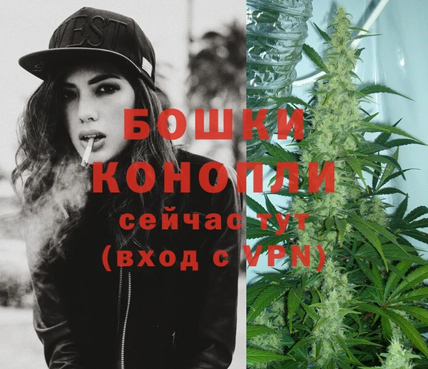 хмурый Аркадак