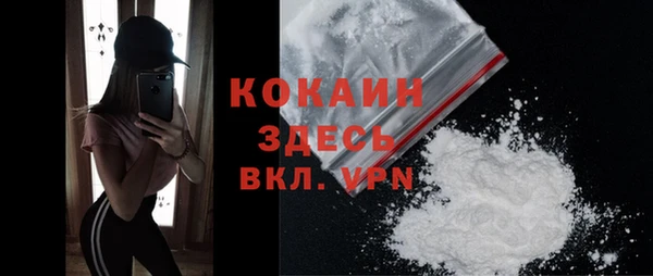 хмурый Аркадак