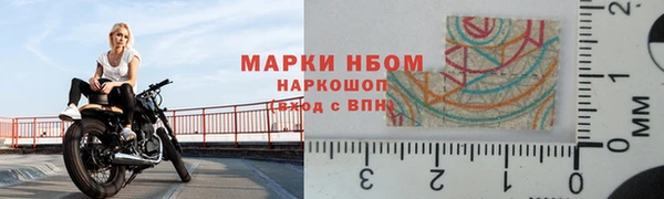 хмурый Аркадак