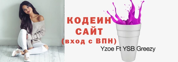 хмурый Аркадак
