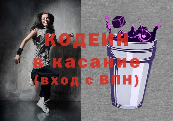 хмурый Аркадак