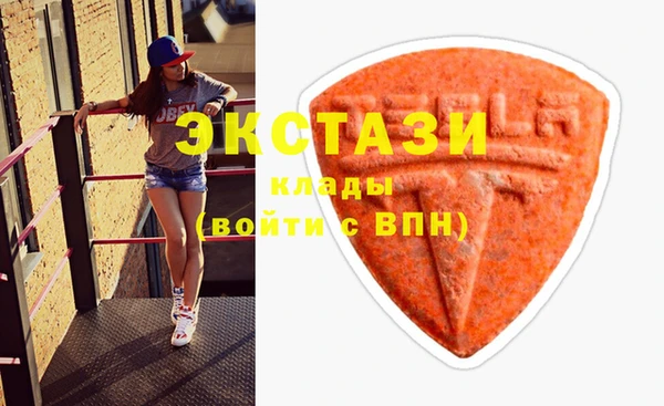 хмурый Аркадак