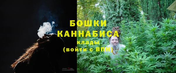 бошки Арсеньев