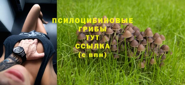 спиды Армянск