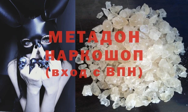 хмурый Аркадак