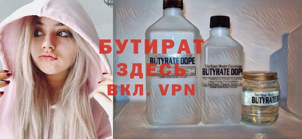хмурый Аркадак